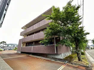 ベロウ桜城の画像