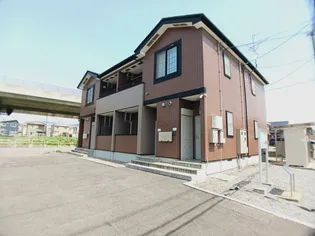 フレンシア桔梗の画像