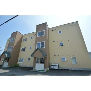 スクイットライツの画像