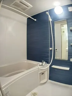 プラシード ツバサ V【2階】の風呂