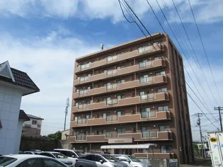 ビラ・ウエストタワー【4階】の外観