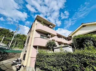 鹿児島県鹿児島市紫原1【マンション】の外観