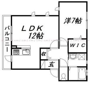静岡県浜松市中央区早出町【アパート】の間取り