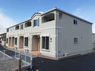 ポプラ IIの画像