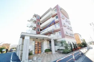 ルネ シェスタの画像