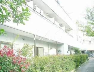 ベルフォーレ K3の画像