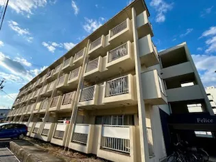 フェリーチェの画像