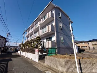 静岡県浜松市中央区新津町【マンション】の外観