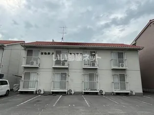 はねおキッタカAの画像