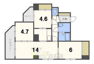 スターアベニュー広和No,11【4階】の間取り