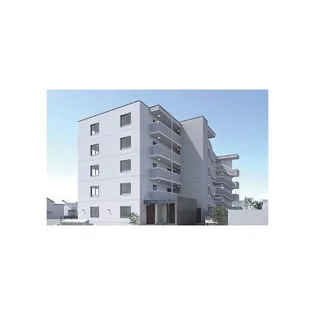 プラシードの画像