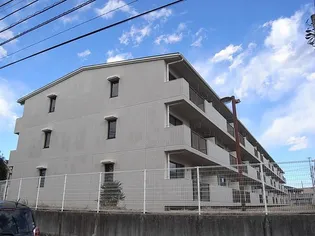 ヒールコートもえぎ野の画像