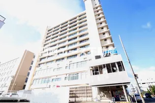 ビレッジハウス城北タワー【11階】の外観
