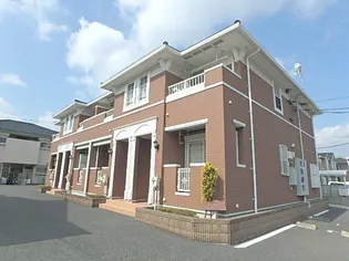 ヴィオラ Yの画像