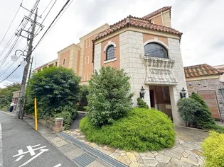 コートウィッシュの画像