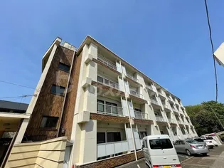 シャトー真間【3階】の外観