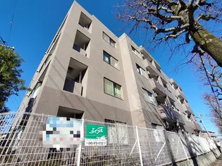 シクルードの画像