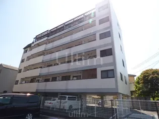 ヤムズスリーの画像