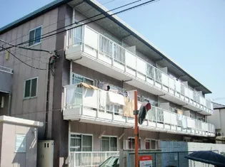 ソレイユ並木の画像