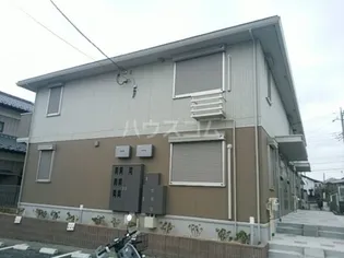 アメジストゆりの木の画像
