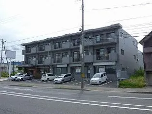 パレスニーノ北広島の画像