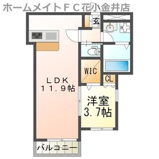 メゾンドEXEV【3階】の間取り