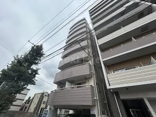 コスモ6の画像