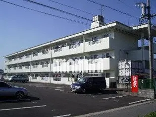 フォーブル21の画像