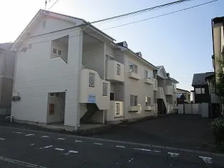 セルフィーY'Sの画像