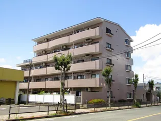 田園コートエレガンスBの画像