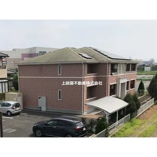 パルティールの画像