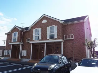 サンデリアーナDの画像