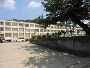 ロイヤルグリーンハイツ【2階】の周辺