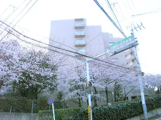 山王ガーデンハイツ【9階】の外観