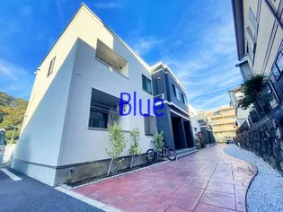 ラウレア ヒレの画像