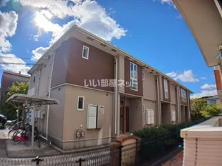 ミニョン プラシードの画像