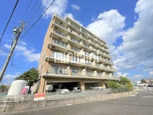 ヴィーナスIの画像