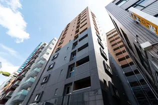 パレステュディオ新宿パークサイド【11階】の外観