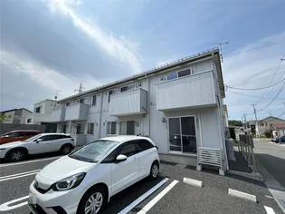 マーヴェラスの画像