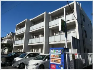 プライマルステージMの画像