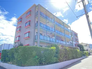 ベルビーアドニスの画像