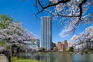 BRILLIATOWER上野池之端の画像