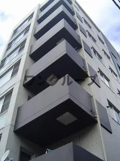 オーキッドの画像