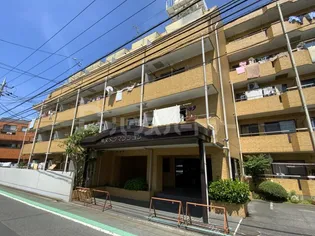 柴又第1STマンション【5階】の外観