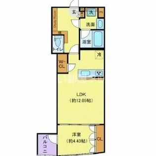 東京都渋谷区本町5【マンション】の間取り