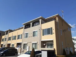 ブランドールの画像