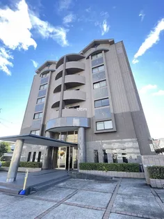 ジェンティール アドニスの画像