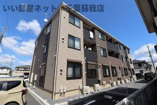 シンシアの画像