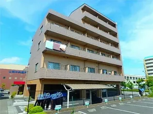 ケンブリッジアサカの画像