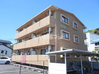 アイリスIIの画像